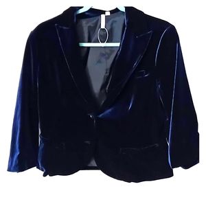 NWOT Llsli crushed blue velvet blazer size 10